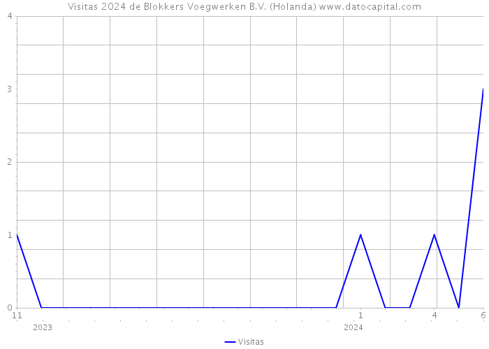 Visitas 2024 de Blokkers Voegwerken B.V. (Holanda) 