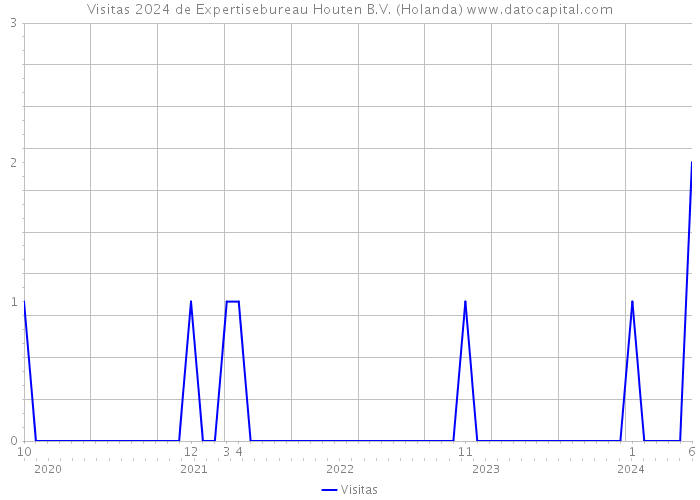 Visitas 2024 de Expertisebureau Houten B.V. (Holanda) 