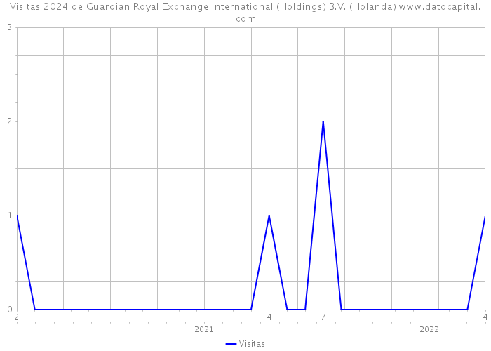 Visitas 2024 de Guardian Royal Exchange International (Holdings) B.V. (Holanda) 