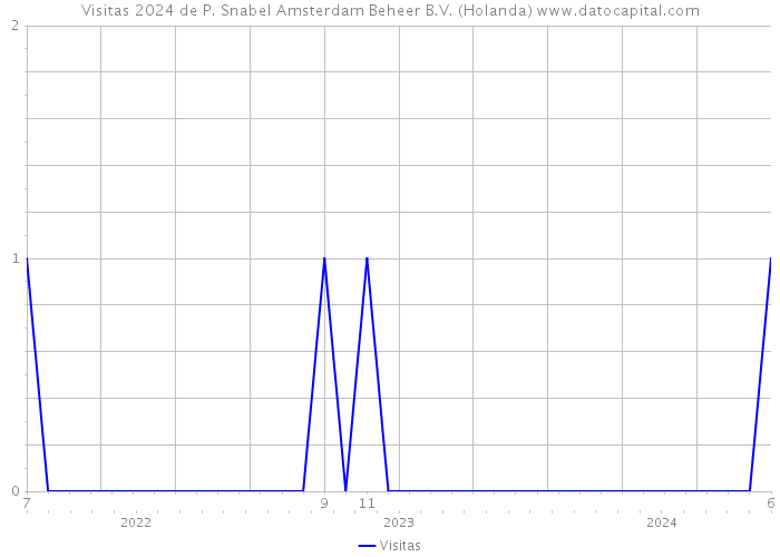 Visitas 2024 de P. Snabel Amsterdam Beheer B.V. (Holanda) 