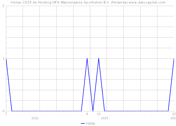 Visitas 2024 de Holding NFA Wassenaarse Apotheken B.V. (Holanda) 