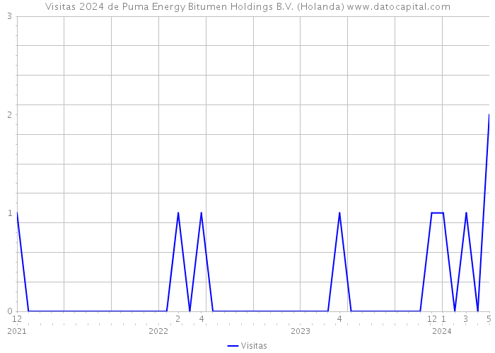 Visitas 2024 de Puma Energy Bitumen Holdings B.V. (Holanda) 