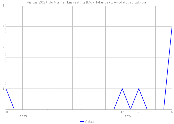 Visitas 2024 de Nynke Huisvesting B.V. (Holanda) 