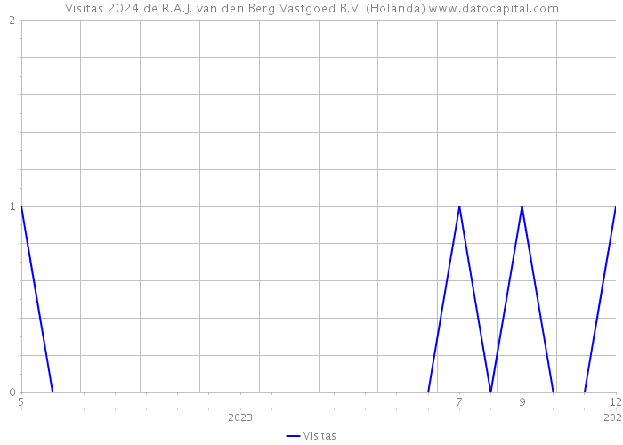 Visitas 2024 de R.A.J. van den Berg Vastgoed B.V. (Holanda) 