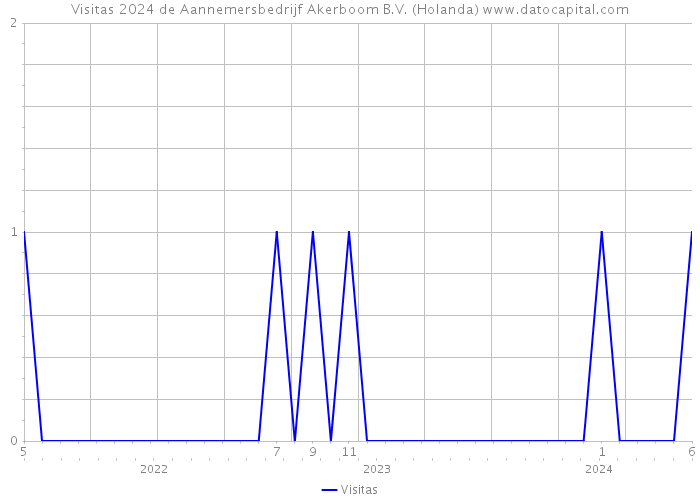 Visitas 2024 de Aannemersbedrijf Akerboom B.V. (Holanda) 