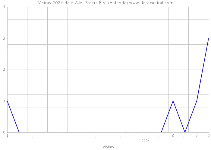 Visitas 2024 de A.A.M. Staete B.V. (Holanda) 