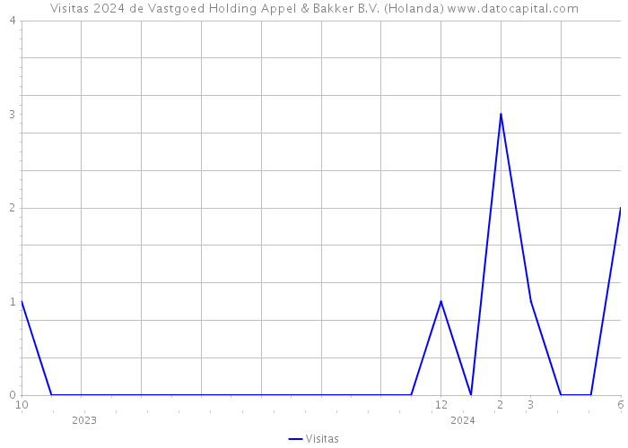 Visitas 2024 de Vastgoed Holding Appel & Bakker B.V. (Holanda) 