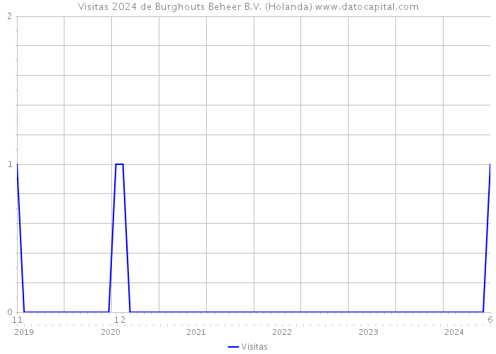 Visitas 2024 de Burghouts Beheer B.V. (Holanda) 