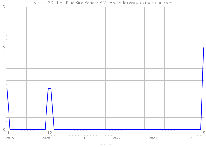 Visitas 2024 de Blue Bird Beheer B.V. (Holanda) 