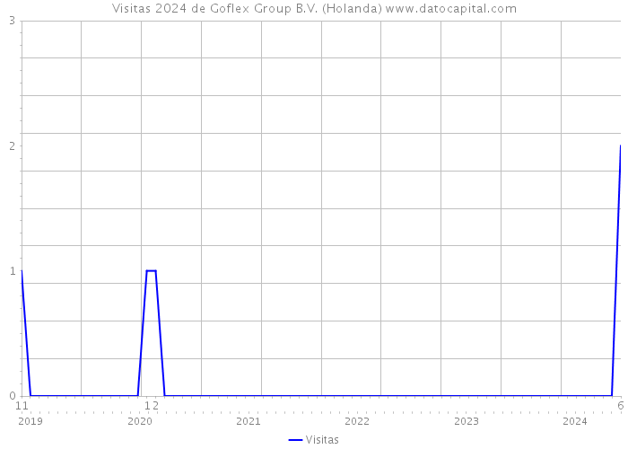 Visitas 2024 de Goflex Group B.V. (Holanda) 