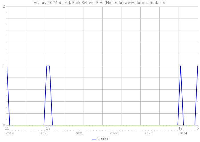 Visitas 2024 de A.J. Blok Beheer B.V. (Holanda) 