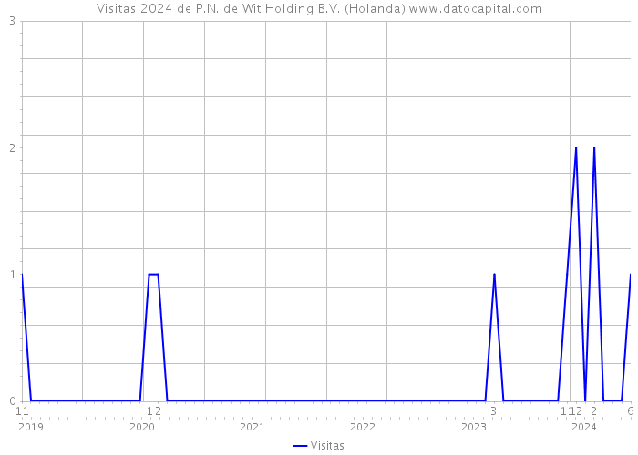 Visitas 2024 de P.N. de Wit Holding B.V. (Holanda) 