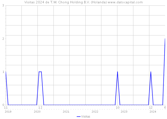 Visitas 2024 de T.W. Chong Holding B.V. (Holanda) 