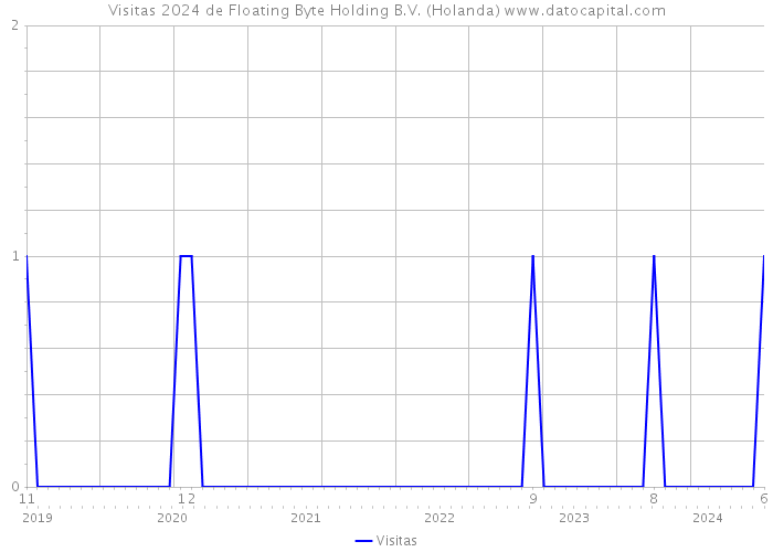 Visitas 2024 de Floating Byte Holding B.V. (Holanda) 