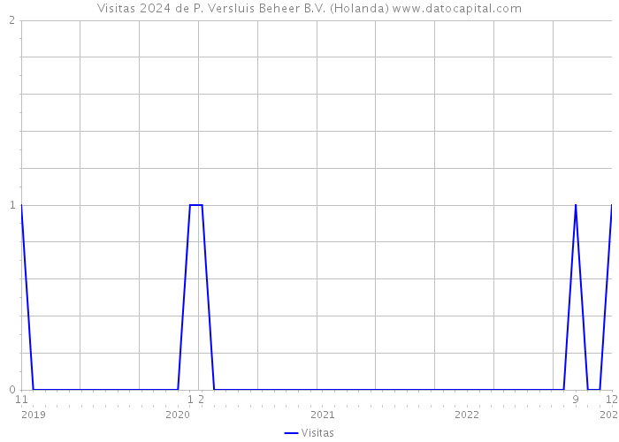 Visitas 2024 de P. Versluis Beheer B.V. (Holanda) 