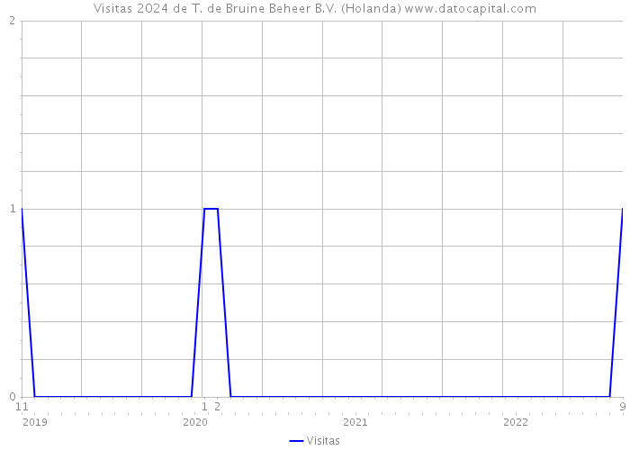 Visitas 2024 de T. de Bruine Beheer B.V. (Holanda) 