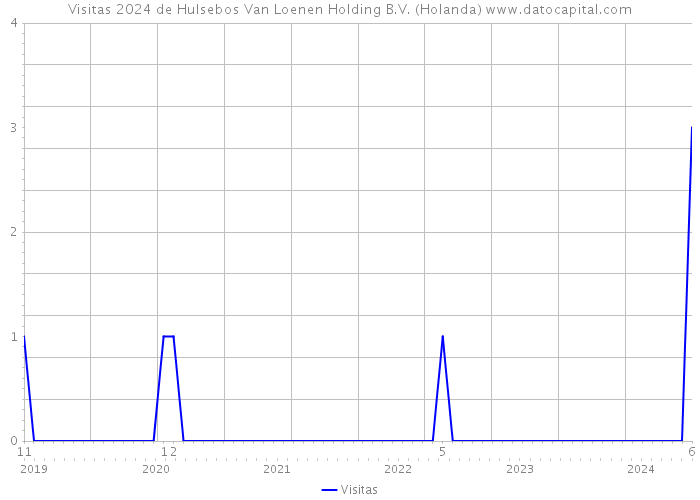 Visitas 2024 de Hulsebos Van Loenen Holding B.V. (Holanda) 