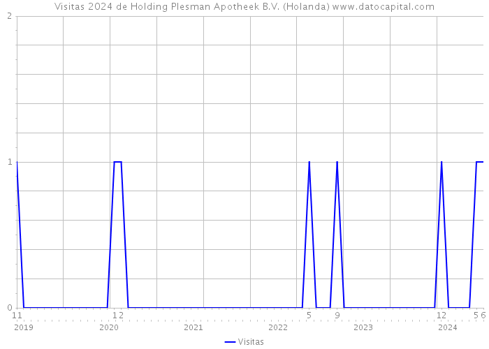 Visitas 2024 de Holding Plesman Apotheek B.V. (Holanda) 