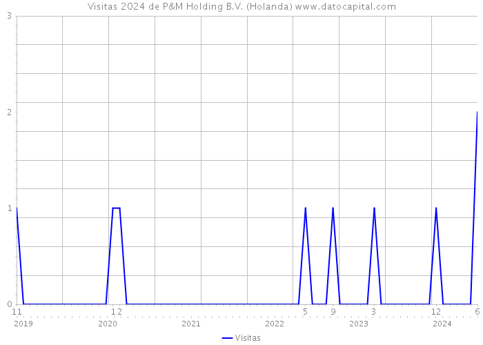 Visitas 2024 de P&M Holding B.V. (Holanda) 