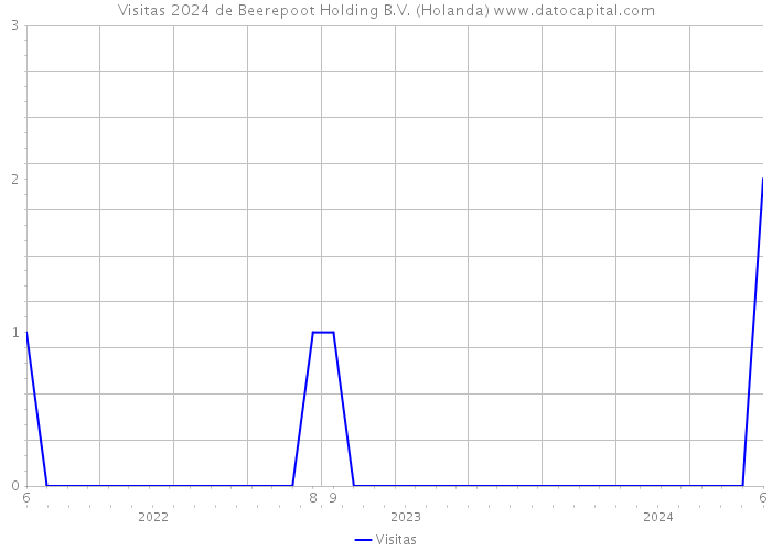 Visitas 2024 de Beerepoot Holding B.V. (Holanda) 