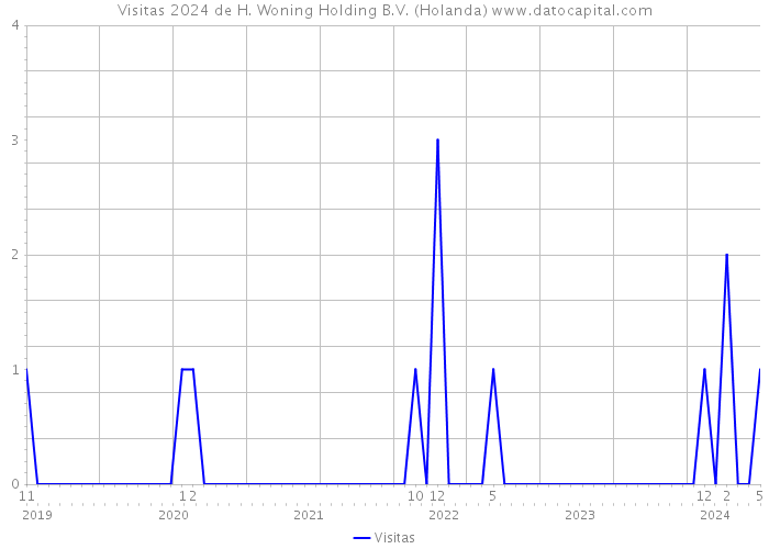 Visitas 2024 de H. Woning Holding B.V. (Holanda) 