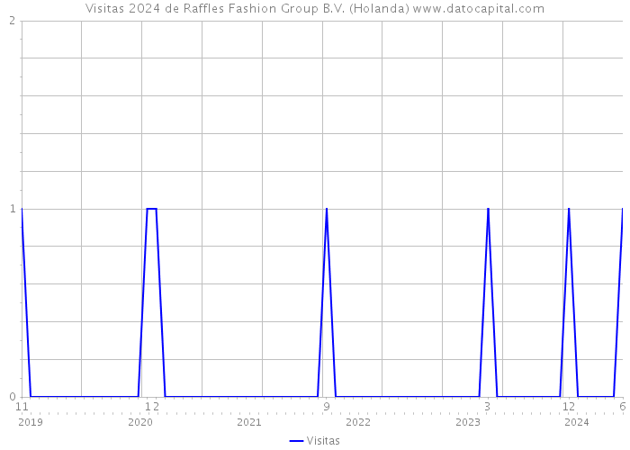 Visitas 2024 de Raffles Fashion Group B.V. (Holanda) 