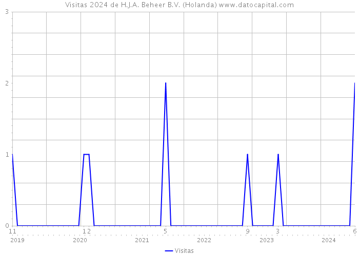 Visitas 2024 de H.J.A. Beheer B.V. (Holanda) 