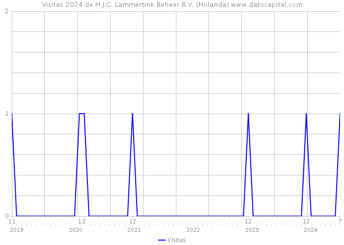 Visitas 2024 de H.J.C. Lammertink Beheer B.V. (Holanda) 