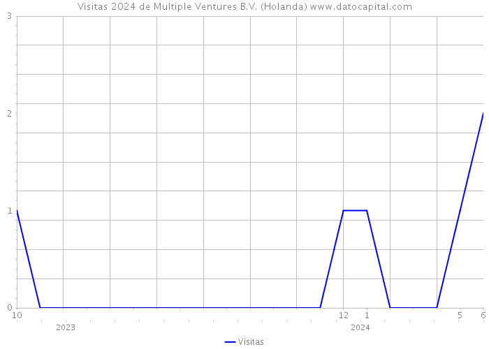 Visitas 2024 de Multiple Ventures B.V. (Holanda) 