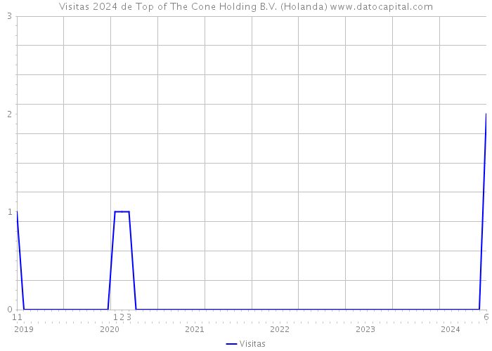 Visitas 2024 de Top of The Cone Holding B.V. (Holanda) 