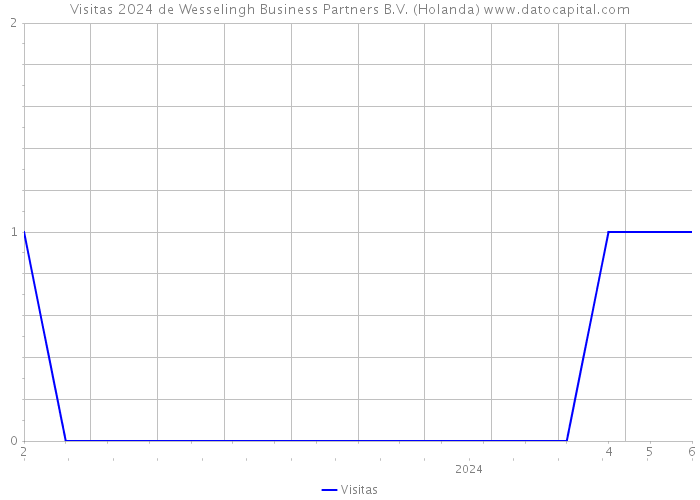 Visitas 2024 de Wesselingh Business Partners B.V. (Holanda) 