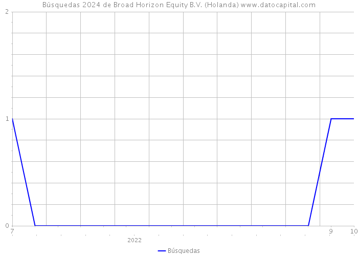 Búsquedas 2024 de Broad Horizon Equity B.V. (Holanda) 