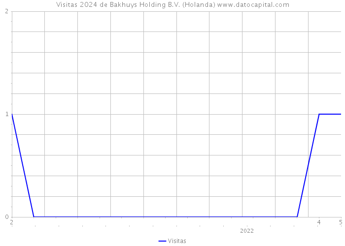 Visitas 2024 de Bakhuys Holding B.V. (Holanda) 