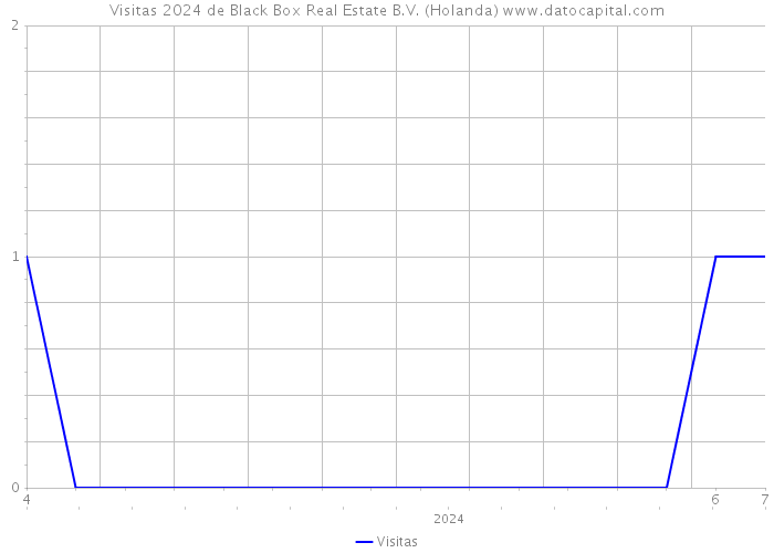 Visitas 2024 de Black Box Real Estate B.V. (Holanda) 