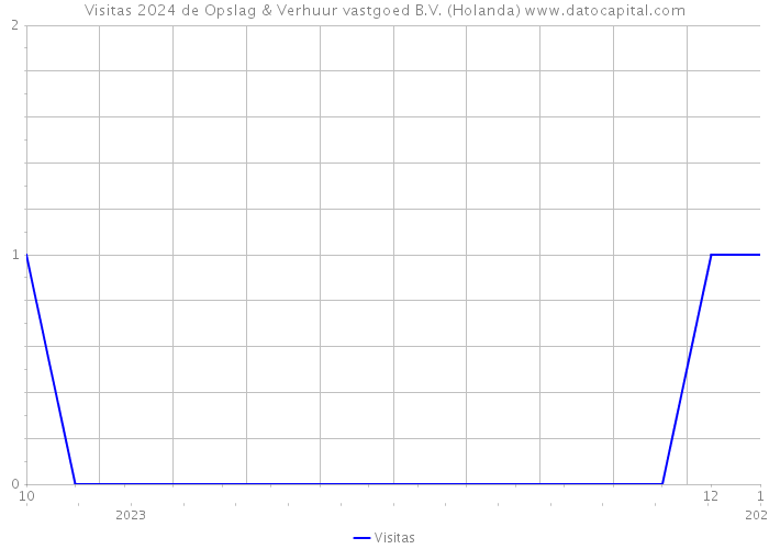 Visitas 2024 de Opslag & Verhuur vastgoed B.V. (Holanda) 