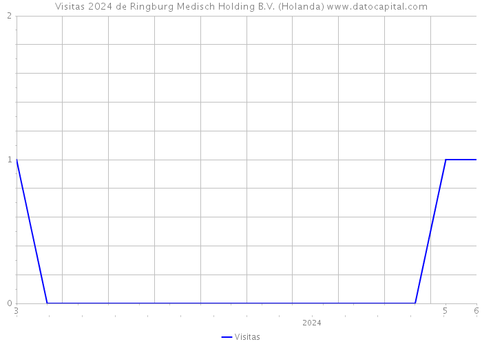 Visitas 2024 de Ringburg Medisch Holding B.V. (Holanda) 