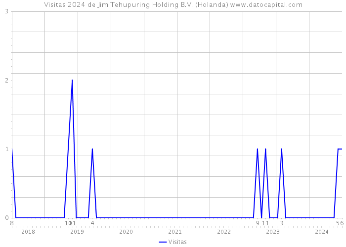 Visitas 2024 de Jim Tehupuring Holding B.V. (Holanda) 