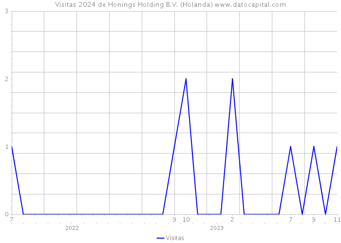 Visitas 2024 de Honings Holding B.V. (Holanda) 