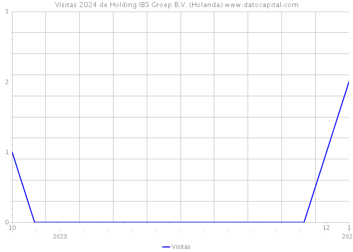 Visitas 2024 de Holding IBS Groep B.V. (Holanda) 