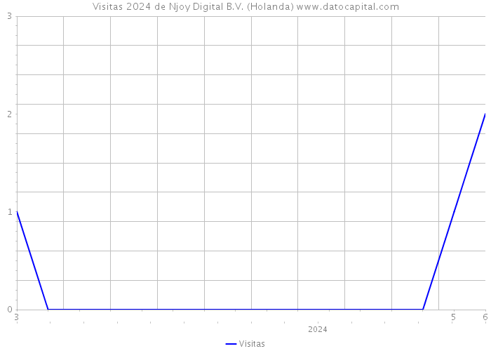 Visitas 2024 de Njoy Digital B.V. (Holanda) 