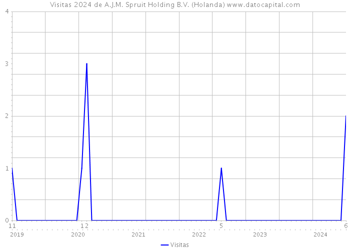 Visitas 2024 de A.J.M. Spruit Holding B.V. (Holanda) 