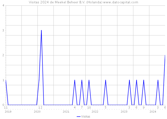 Visitas 2024 de Meekel Beheer B.V. (Holanda) 