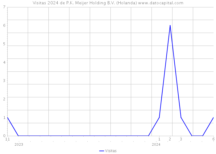 Visitas 2024 de P.K. Meijer Holding B.V. (Holanda) 