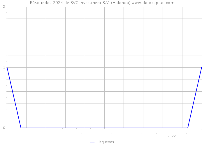 Búsquedas 2024 de BVC Investment B.V. (Holanda) 