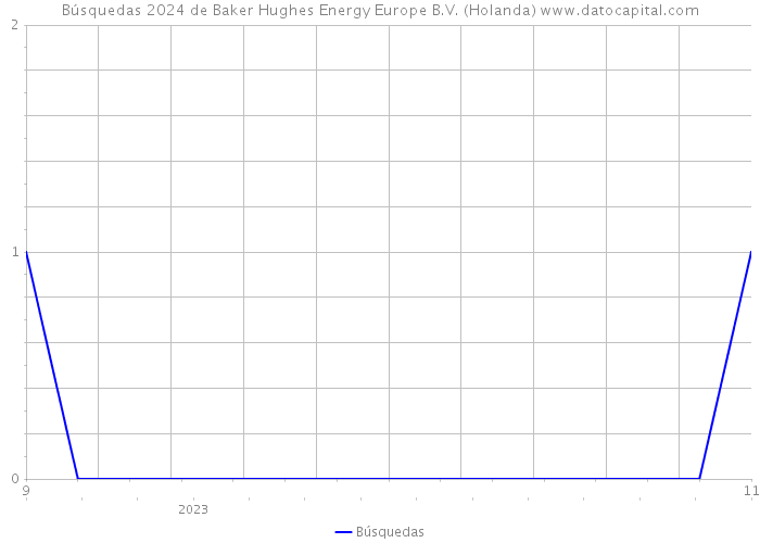 Búsquedas 2024 de Baker Hughes Energy Europe B.V. (Holanda) 