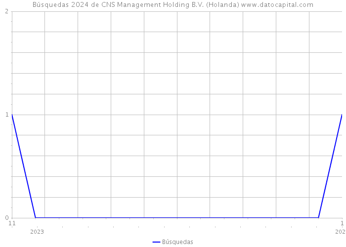 Búsquedas 2024 de CNS Management Holding B.V. (Holanda) 