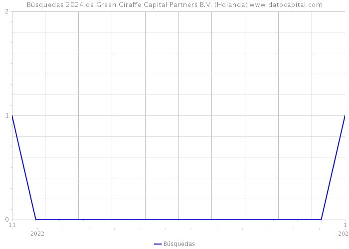 Búsquedas 2024 de Green Giraffe Capital Partners B.V. (Holanda) 