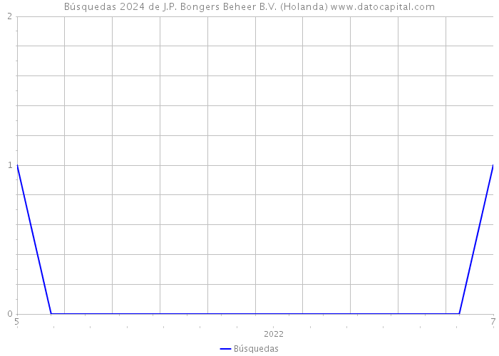 Búsquedas 2024 de J.P. Bongers Beheer B.V. (Holanda) 