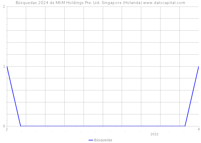 Búsquedas 2024 de MKM Holdings Pte. Ltd. Singapore (Holanda) 