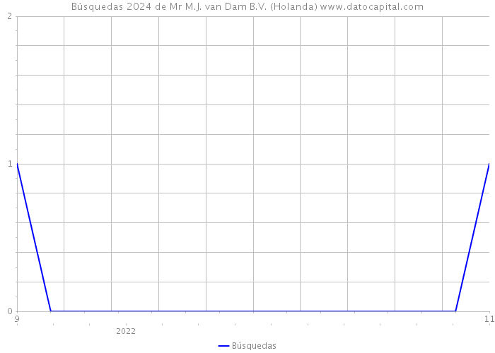 Búsquedas 2024 de Mr M.J. van Dam B.V. (Holanda) 